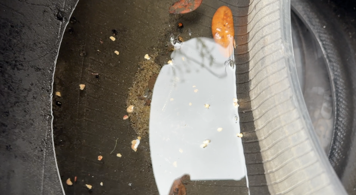 Dengue response: What Tampa Bay 28 found at a West Tampa tire shop — WFTS ABC Action News Tampa, Valley City Real Estate news