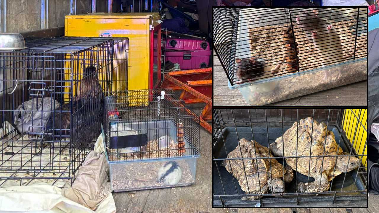Florida circus owner abandons truck with animals inside, police say — WESH 2 Orlando